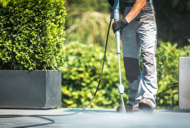 Best Graffiti Removal  in Annapolis Neck, MD