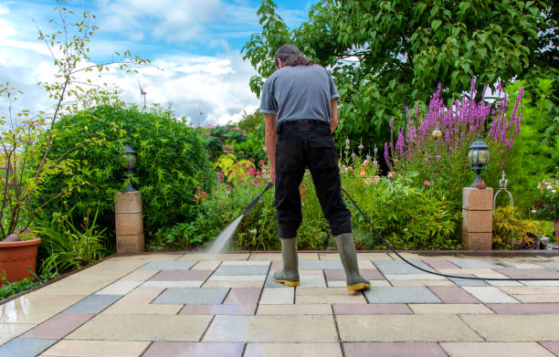 Professional Pressure Washing Services in Annapolis Neck, MD
